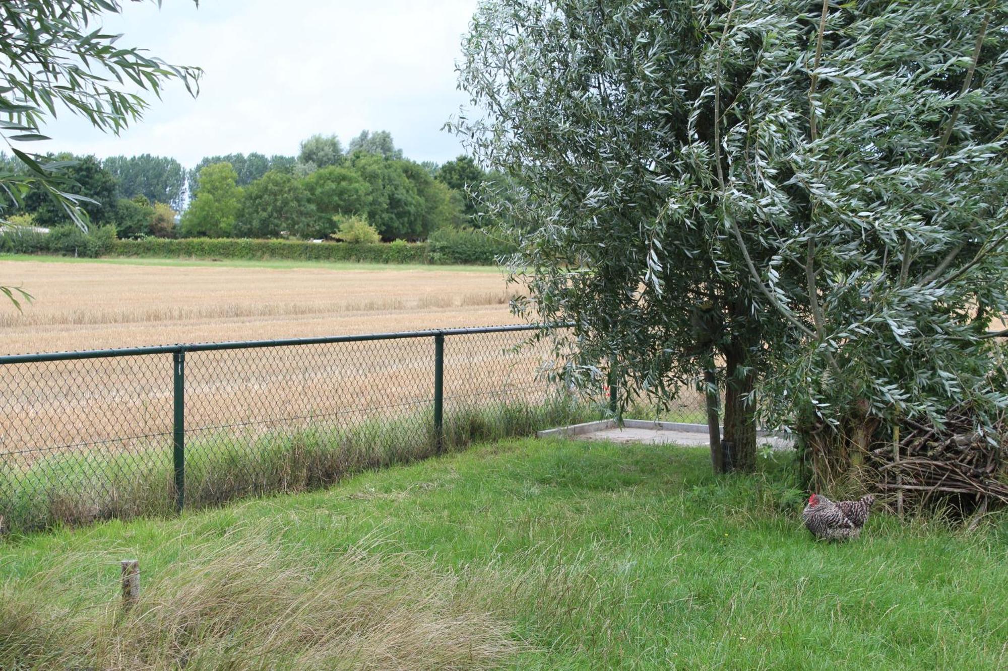 Slapen Aan De Voet Van De Molen Ovezande Luaran gambar