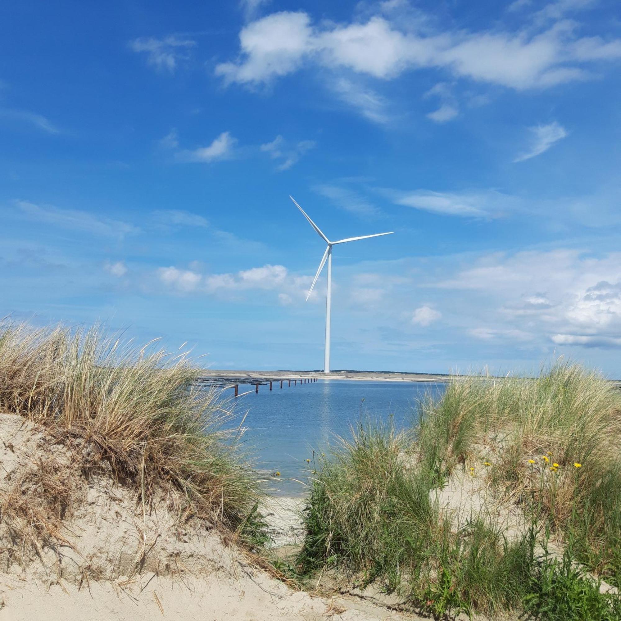 Slapen Aan De Voet Van De Molen Ovezande Luaran gambar